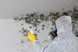 Mold Remediation for Rental Properties